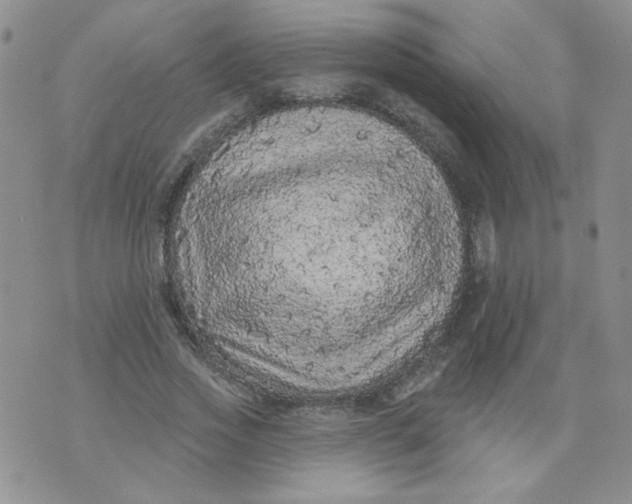 X0000074300733200609151941