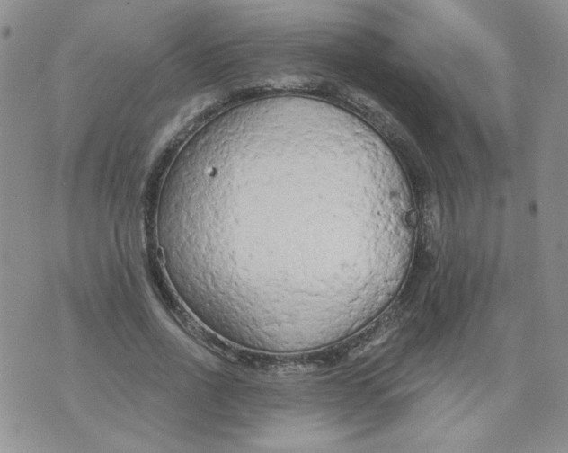 X0000074300734200609151941