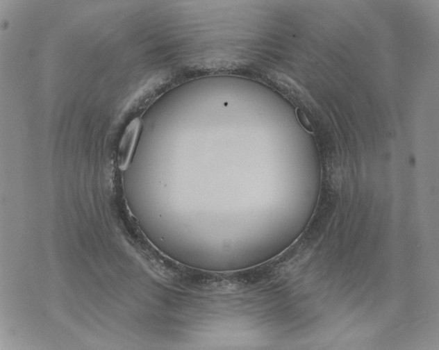 X0000074300735200609151941