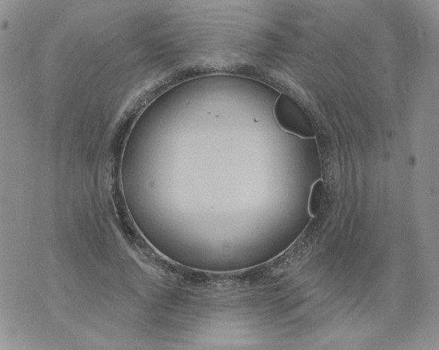 X0000074300736200609151941