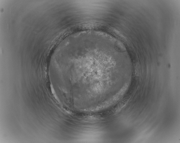 X0000074300737200609151941