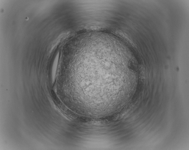 X0000074300738200609151941