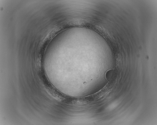 X0000074300739200609151941