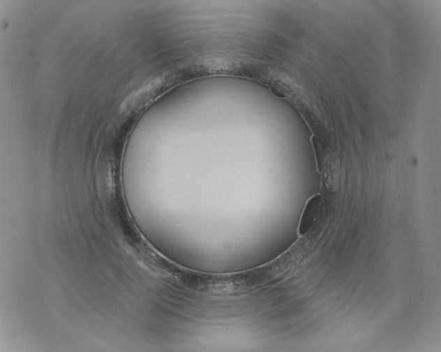 X0000074300740200609151941