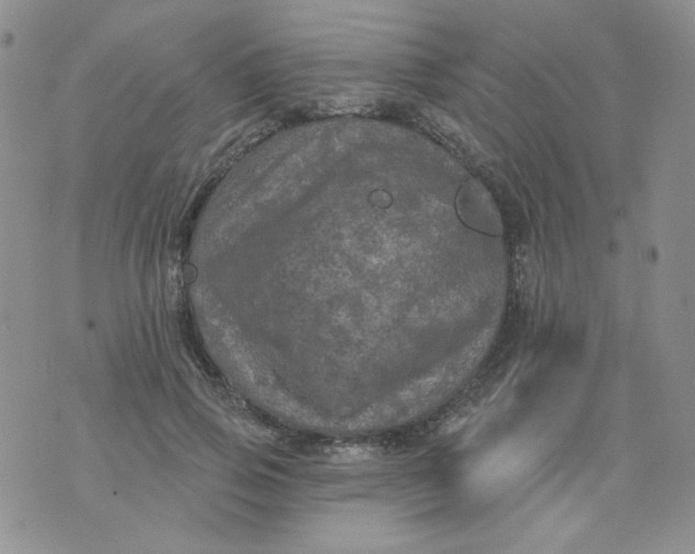 X0000074300741200609151941