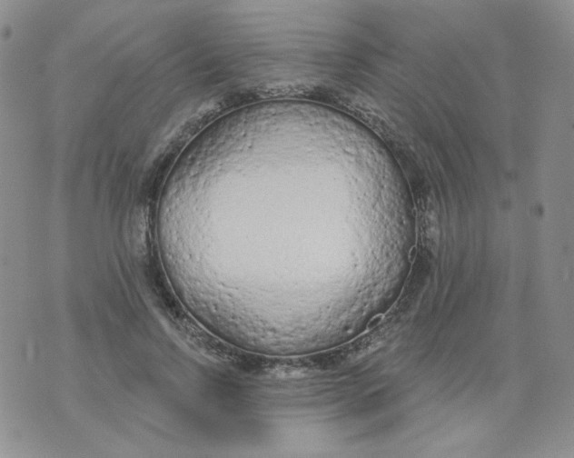 X0000074300742200609151941