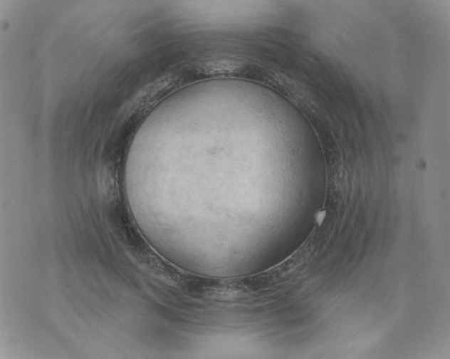 X0000074300743200609151941