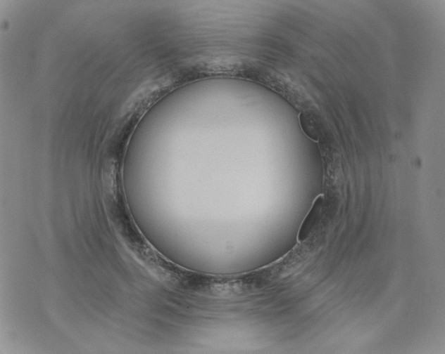 X0000074300744200609151941