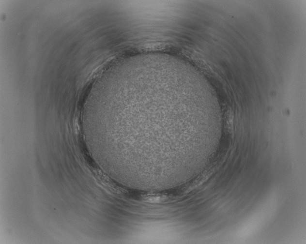 X0000074300746200609151941