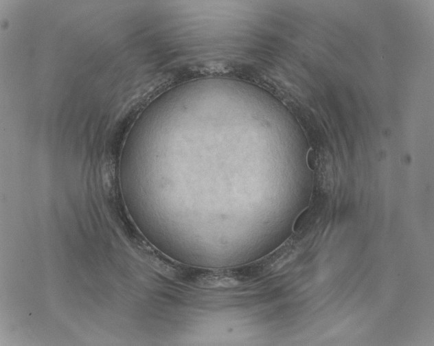 X0000074300747200609151941