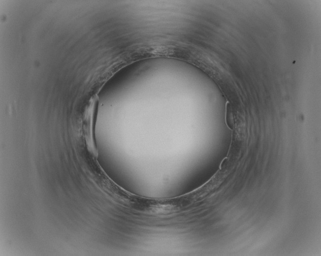 X0000074300748200609151941