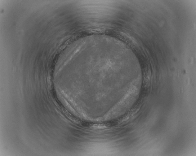 X0000074300749200609151941