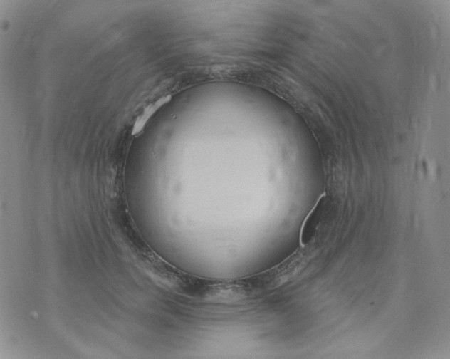 X0000074300750200609151941