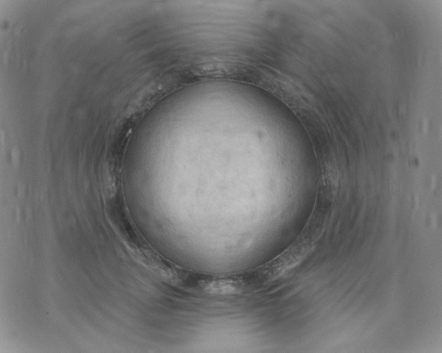 X0000074300751200609151941