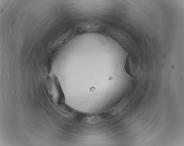 X0000074300752200609151941