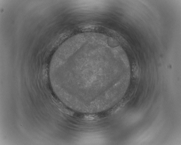 X0000074300753200609151941