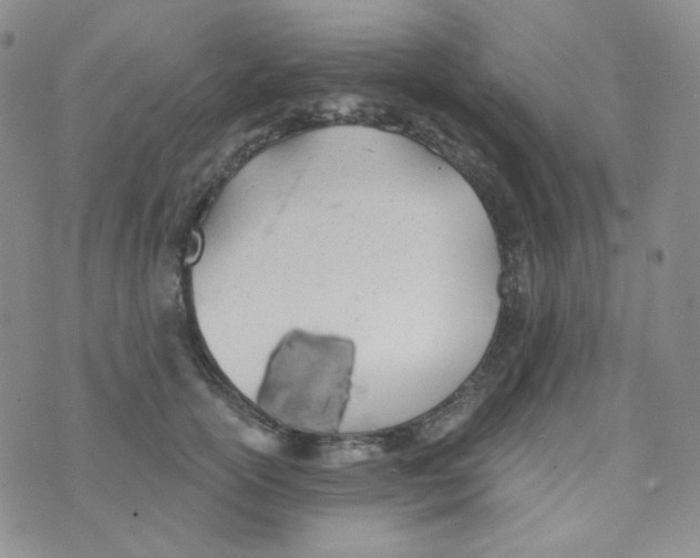 X0000074300754200609151941