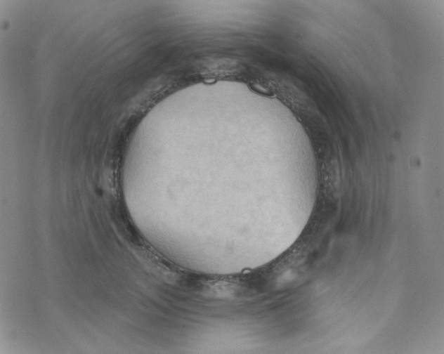 X0000074300755200609151941