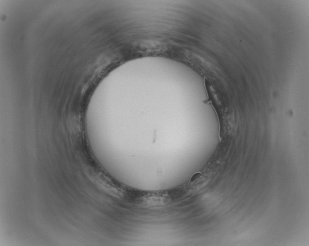 X0000074300756200609151941