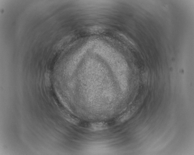 X0000074300757200609151941