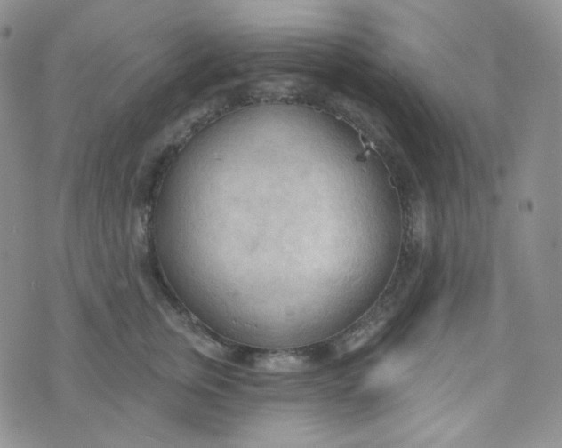 X0000074300759200609151941