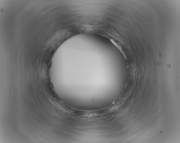 X0000074300760200609151941