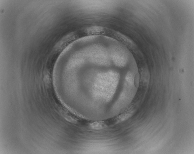 X0000074300761200609151941