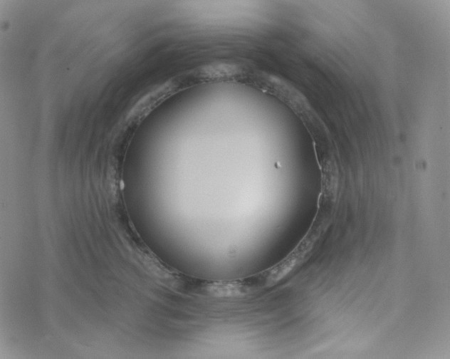 X0000074300762200609151942