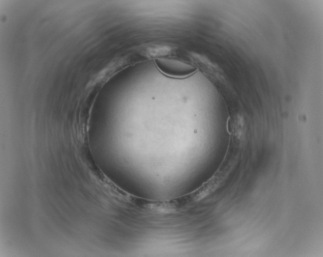 X0000074300763200609151942