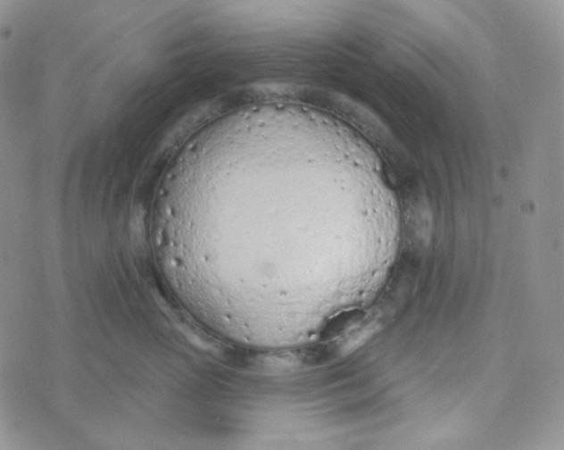 X0000074300765200609151942