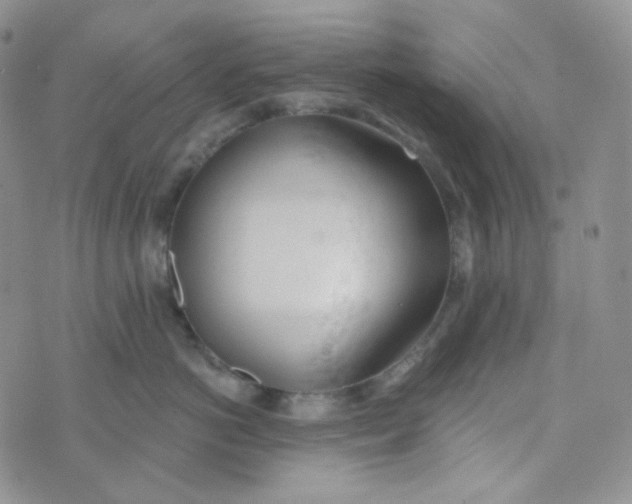 X0000074300766200609151942