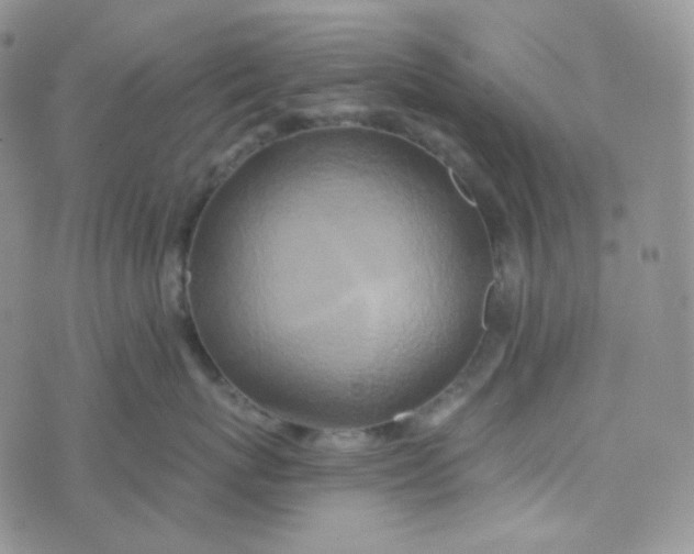 X0000074300767200609151942