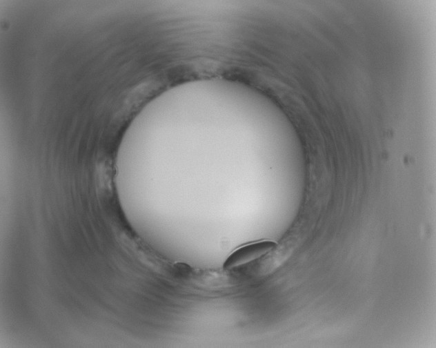 X0000074300768200609151942