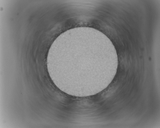 X0000074300769200609151941