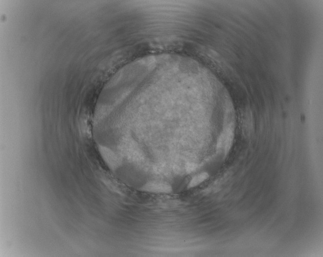 X0000074300770200609151941