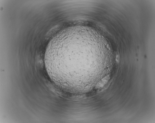 X0000074300771200609151941