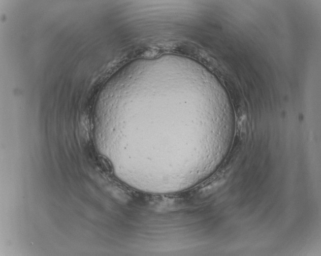 X0000074300772200609151941