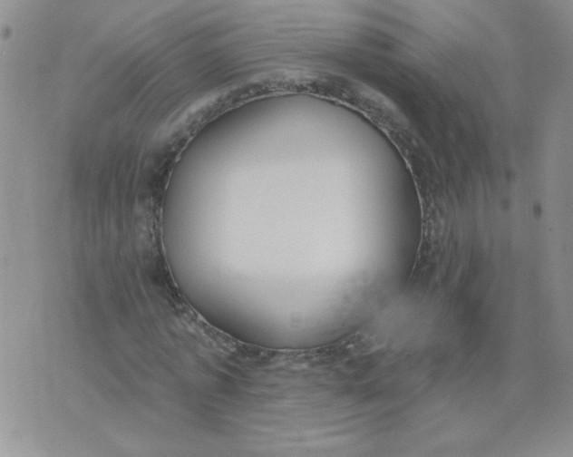 X0000074300773200609151941