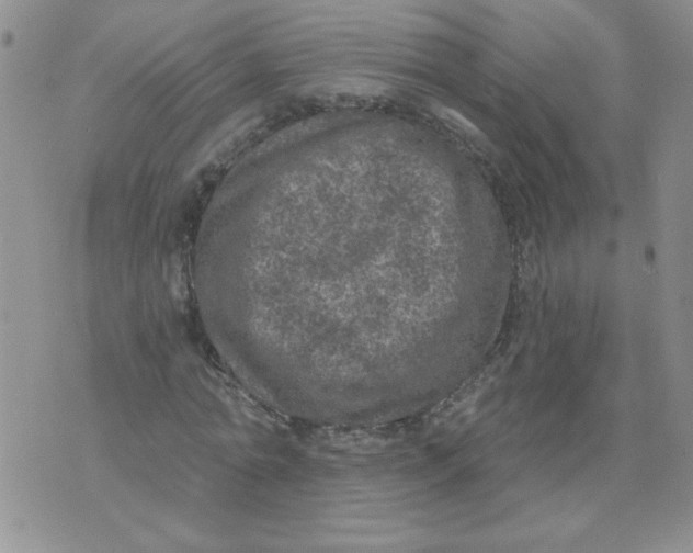 X0000074300774200609151941