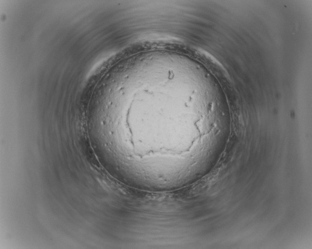 X0000074300775200609151941