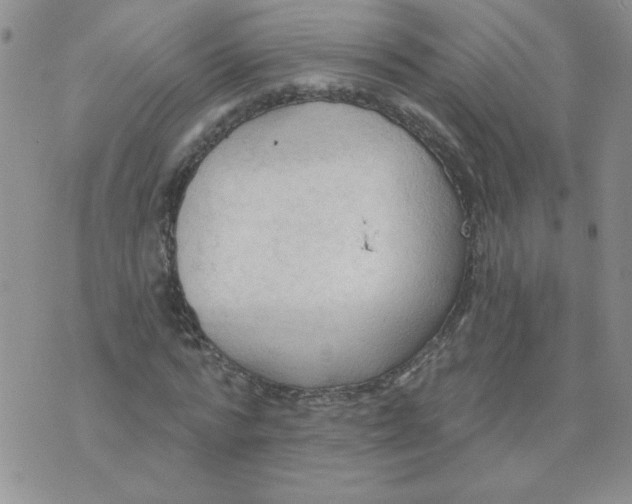 X0000074300776200609151941