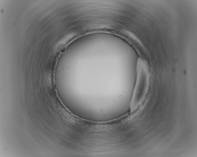 X0000074300777200609151941