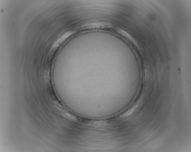 X0000074300778200609151941