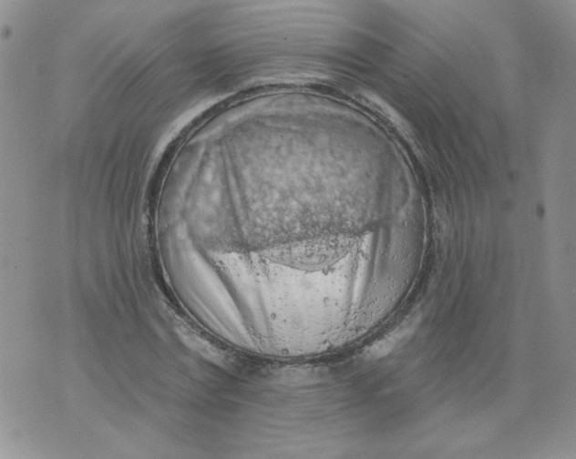 X0000074300779200609151941