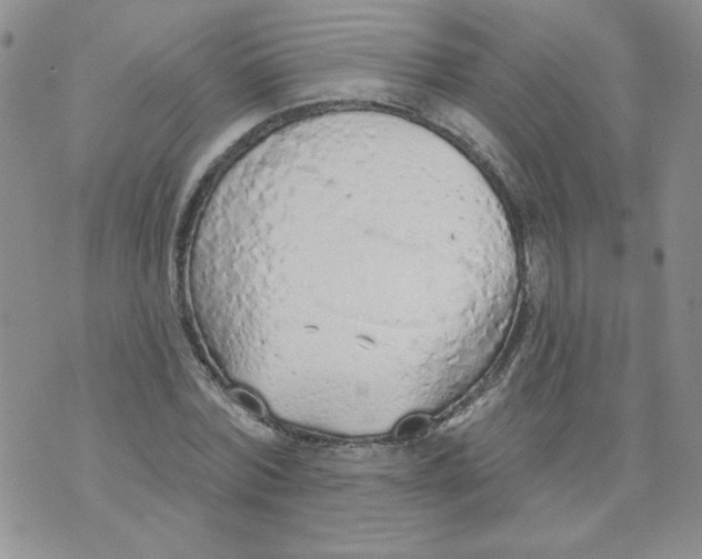 X0000074300780200609151941