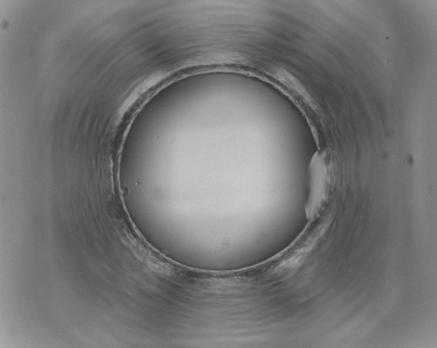 X0000074300781200609151941