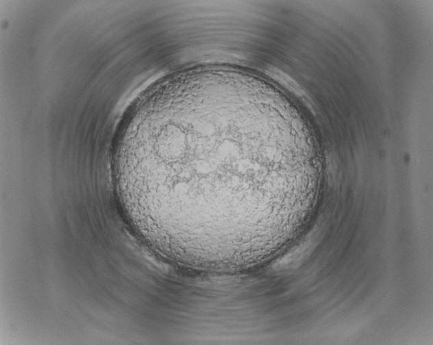 X0000074300782200609151941