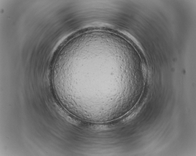 X0000074300783200609151941