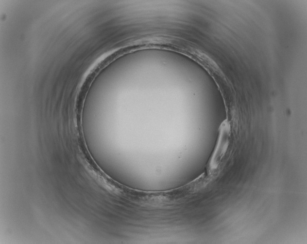 X0000074300784200609151941