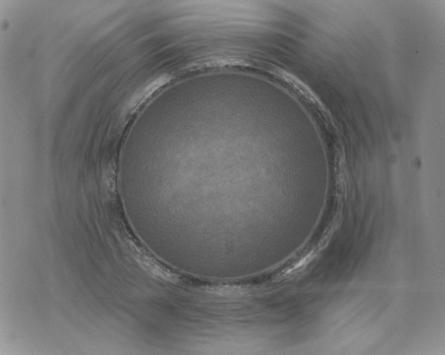 X0000074300785200609151941